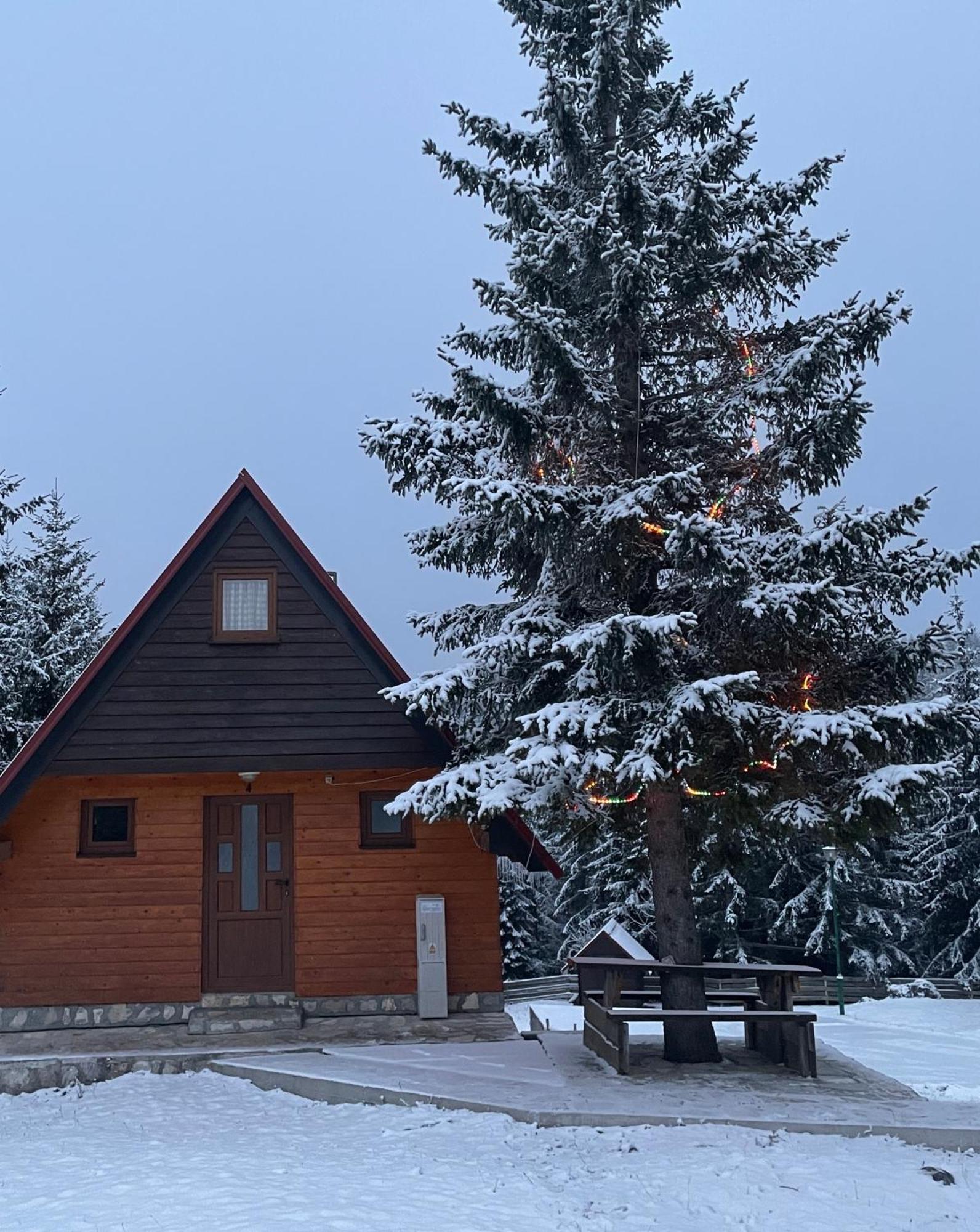 Bungalows Krstajic Žabljak Exterior foto